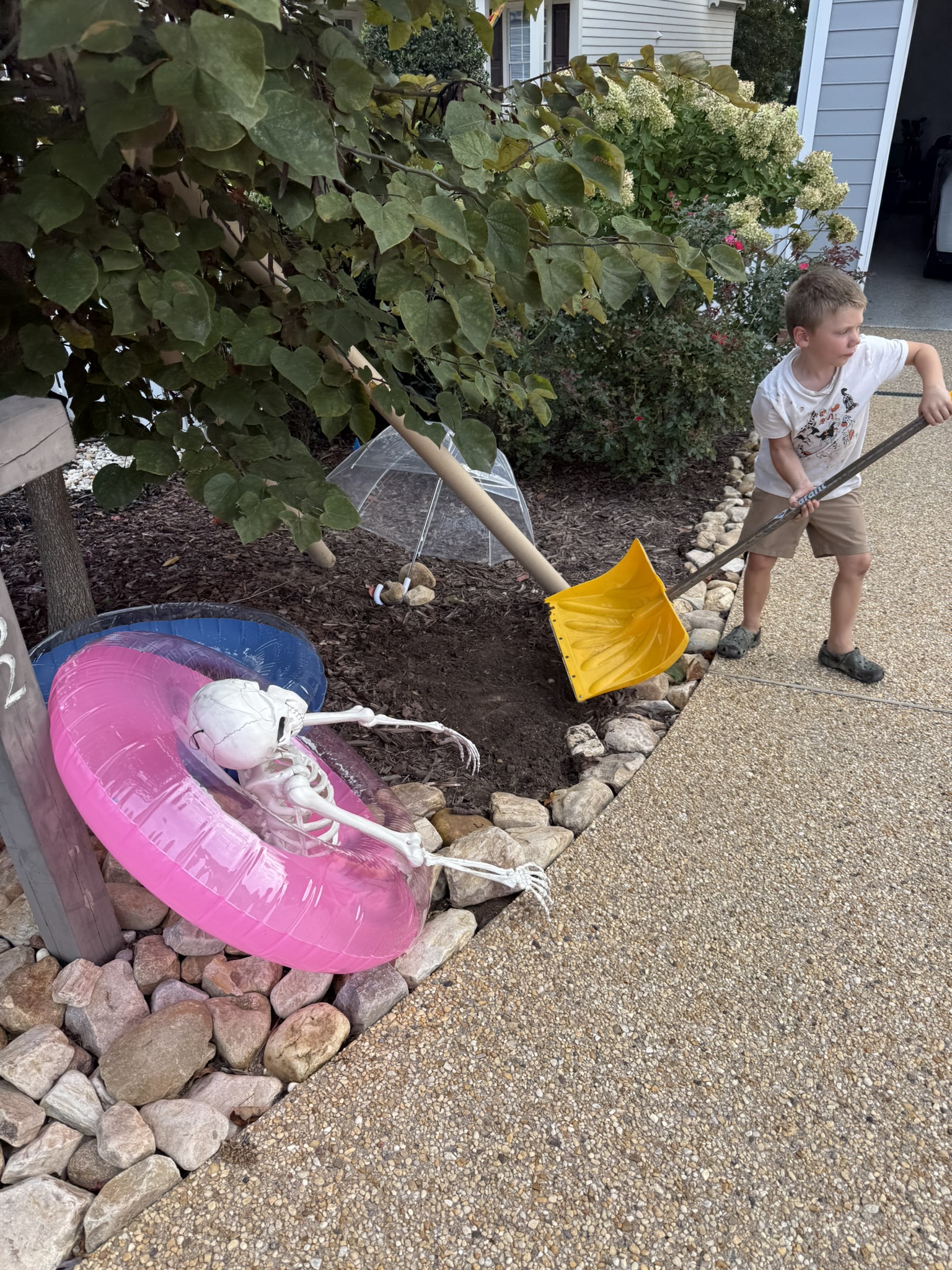 Teddy fall adventure photo 3