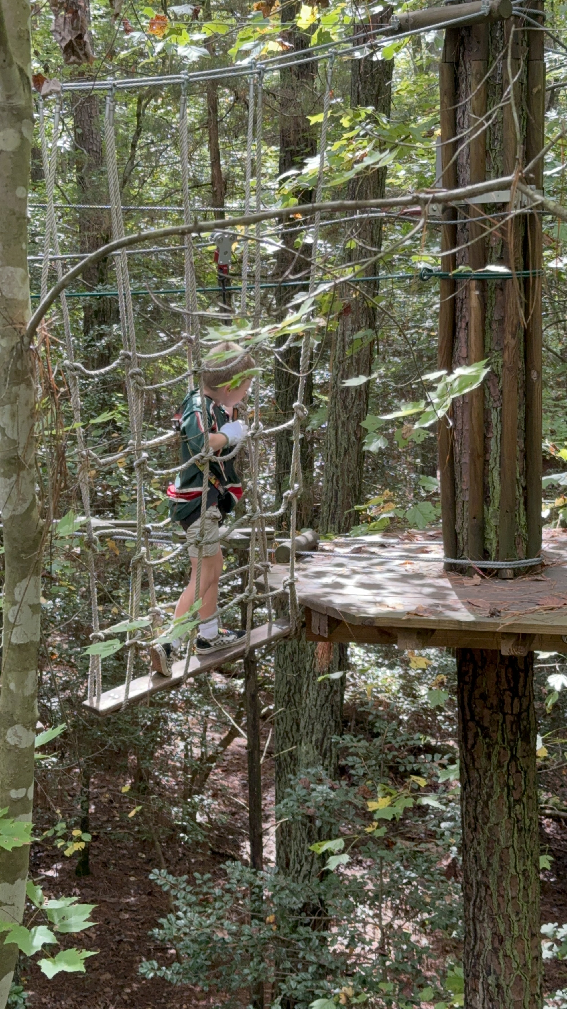 Teddy fall adventure photo 5