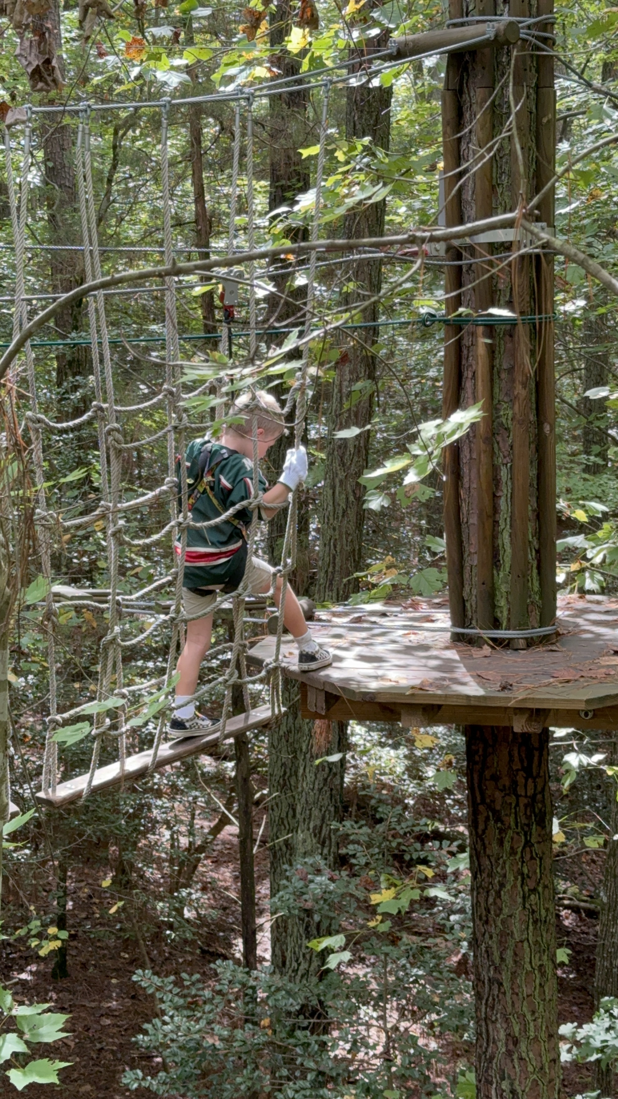 Teddy fall adventure photo 6