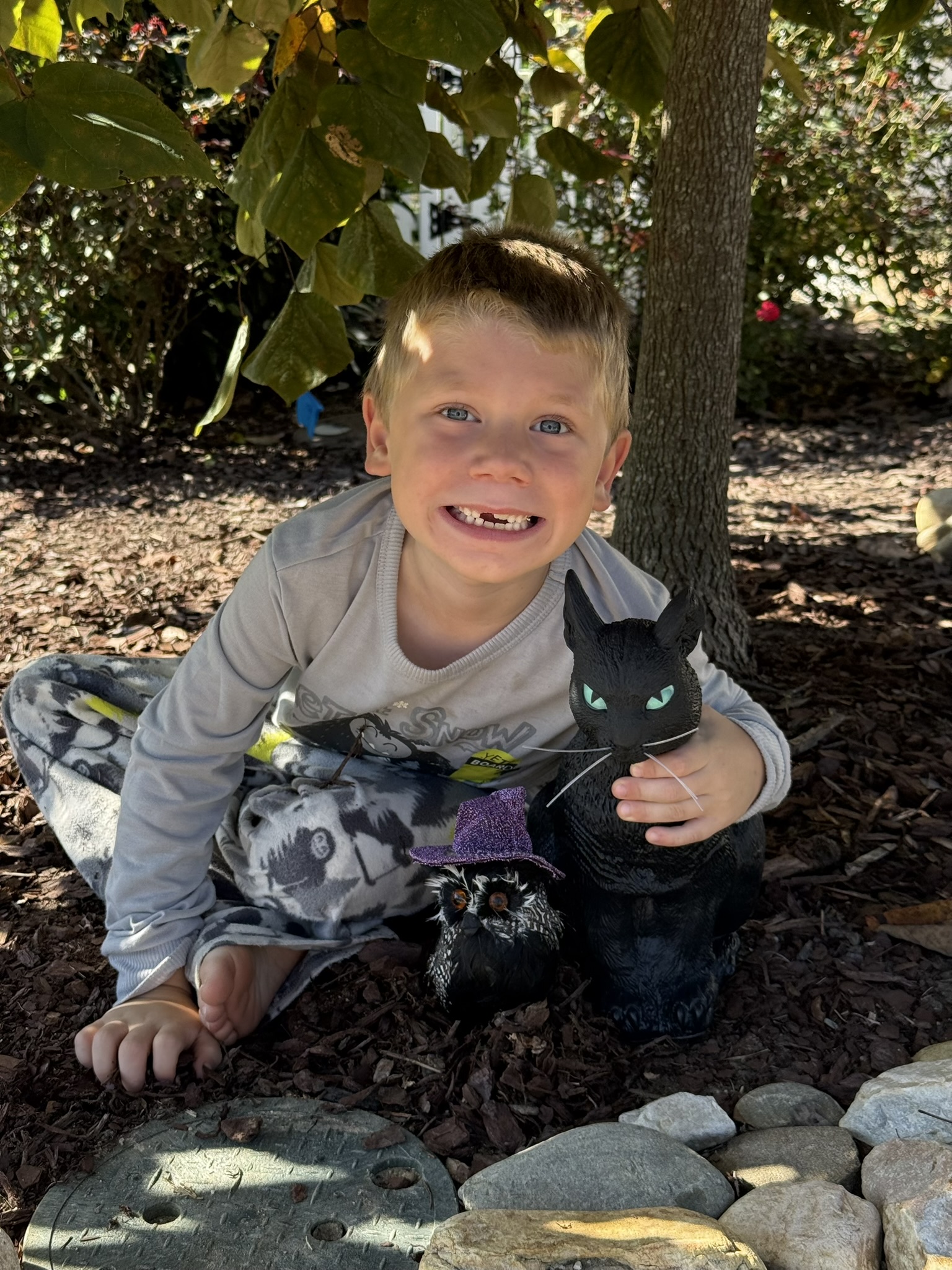 Teddy fall adventure photo 7