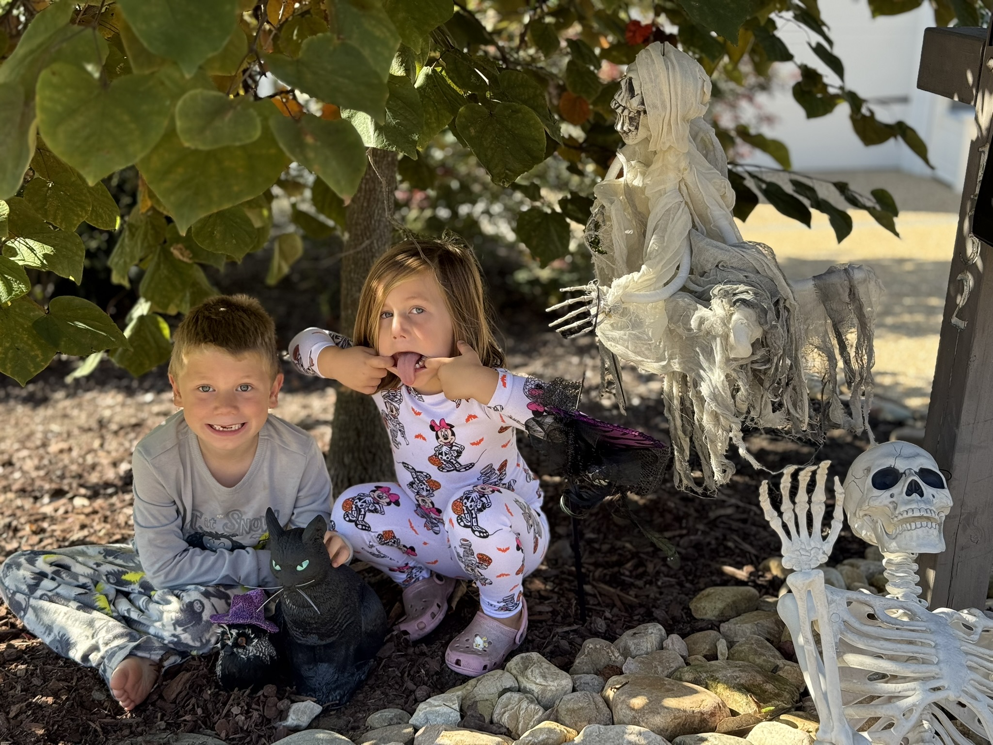 Teddy fall adventure photo 8