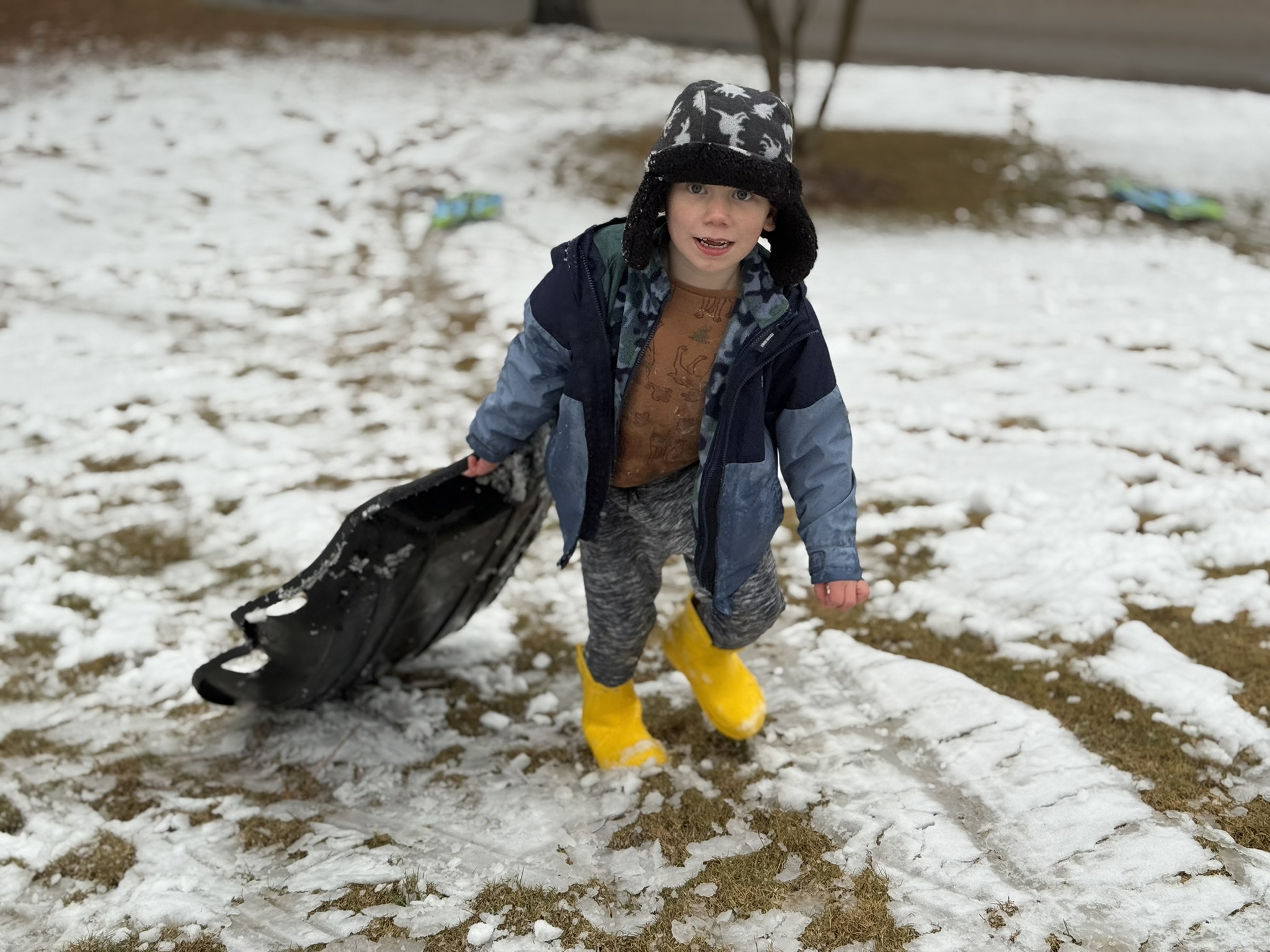 Teddy with sled
