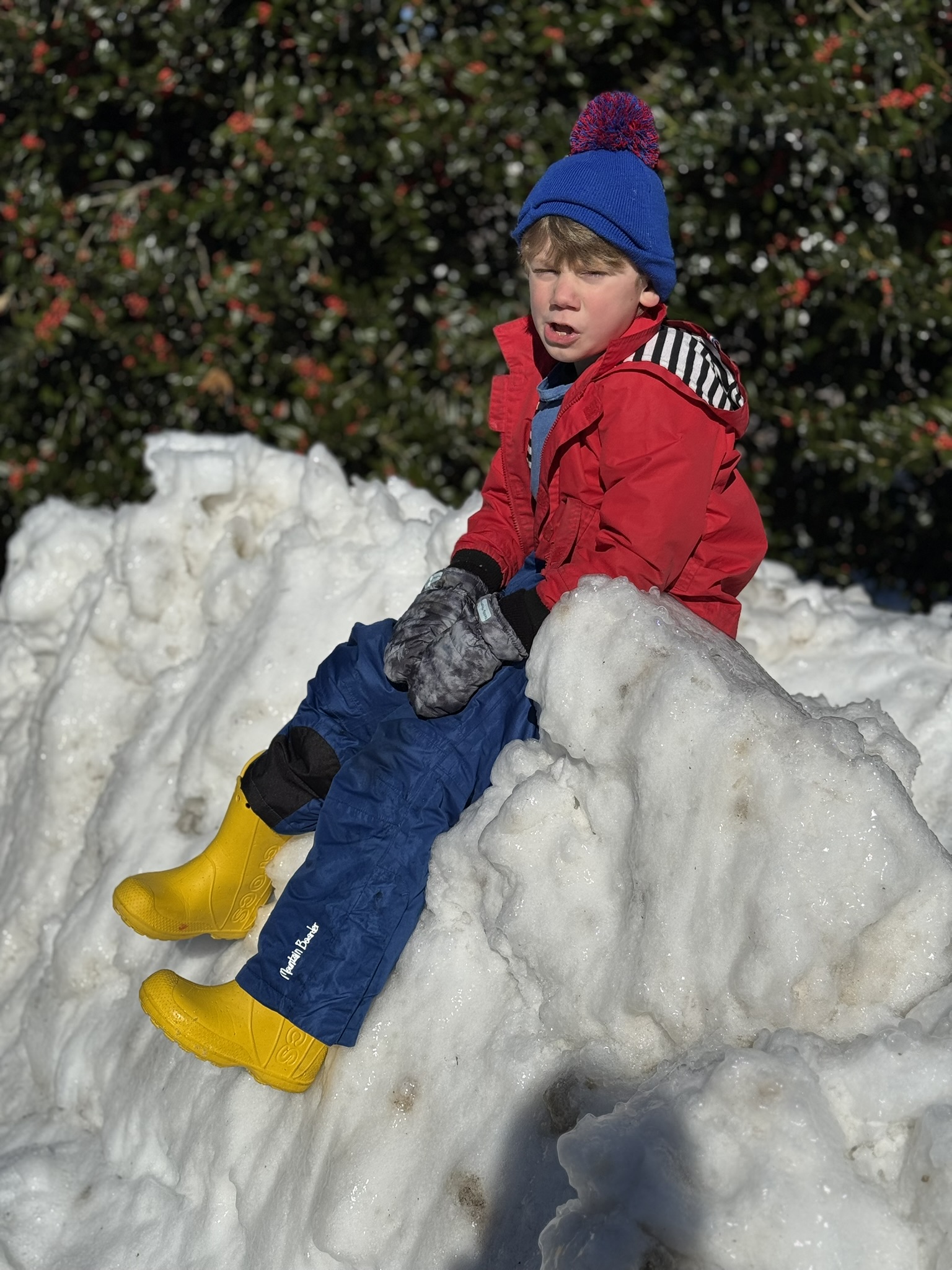 Teddy on snow pile