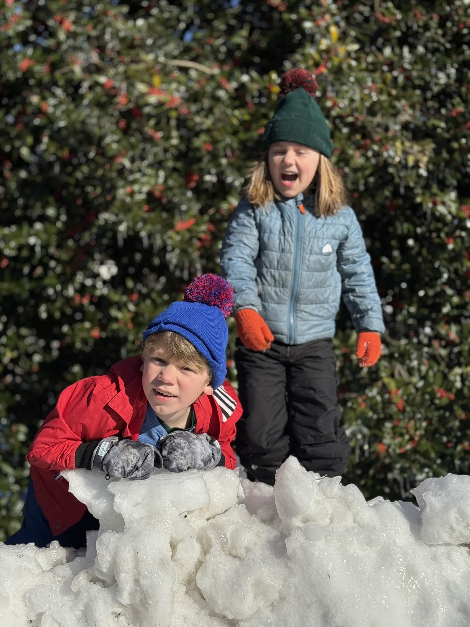 Teddy and sister on snow pile