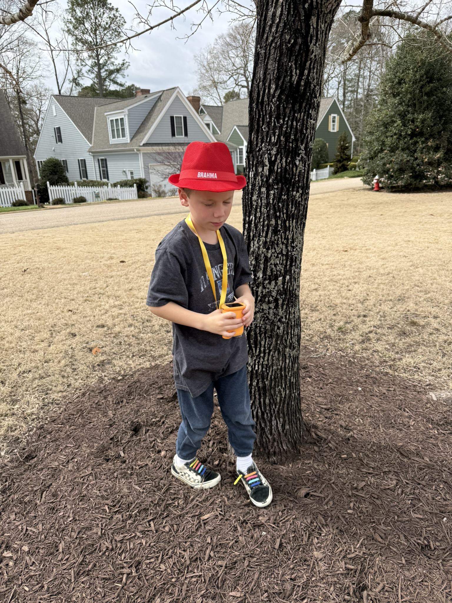 Teddy in red hat