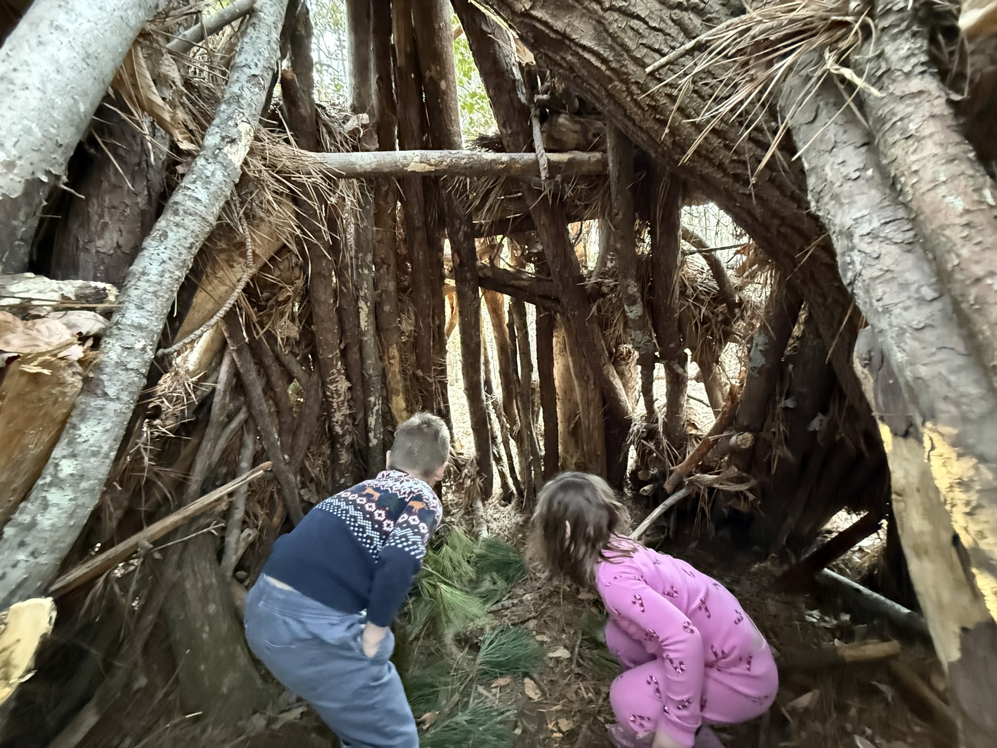 Exploring a stick fort