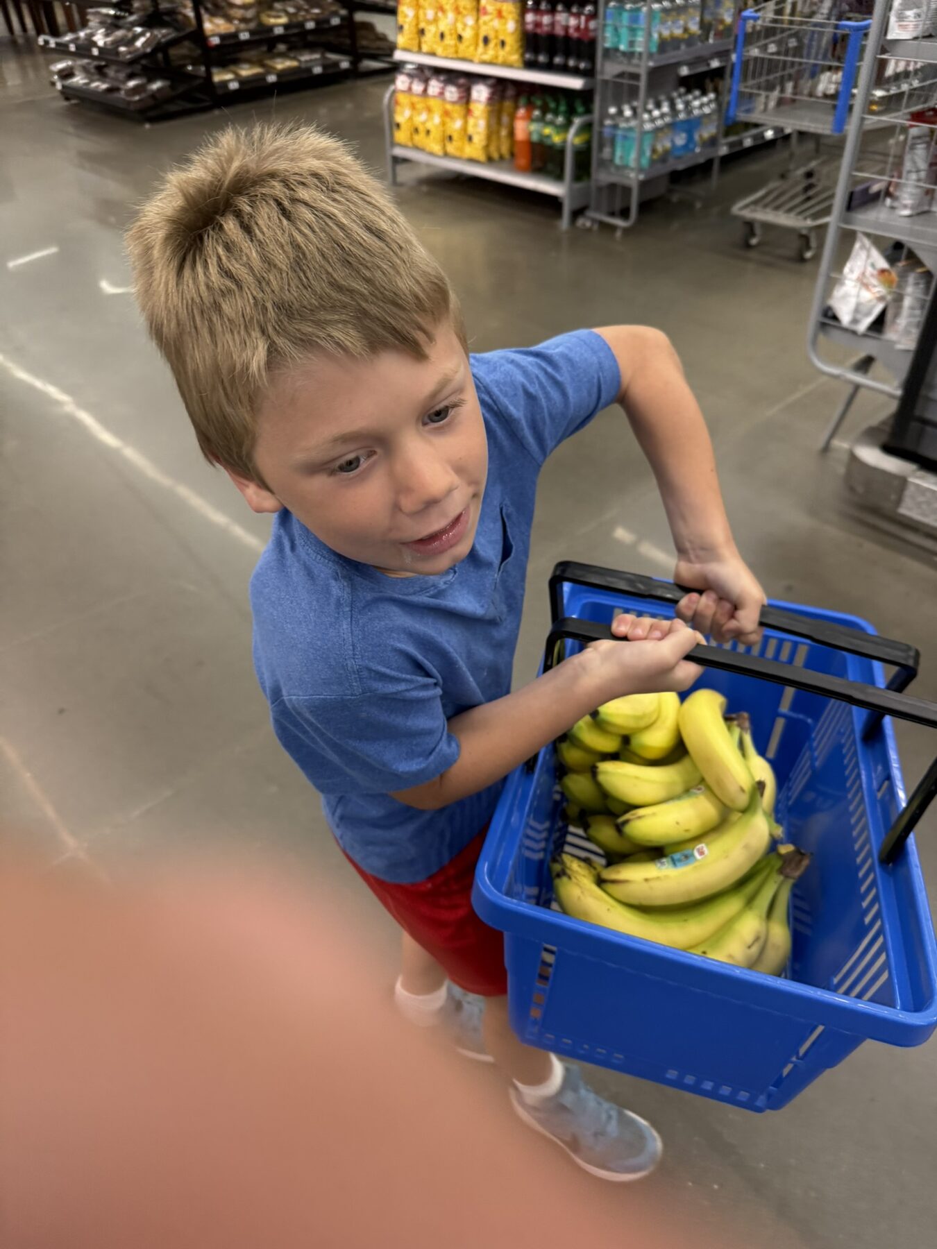 Teddy with a shopping basket full of bananas
