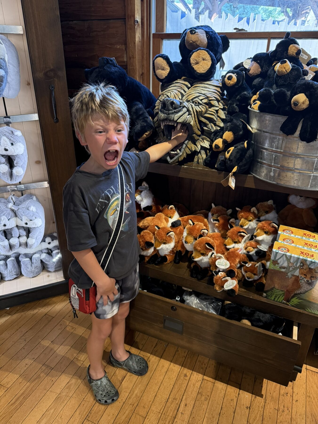 Teddy in the Busch Gardens gift shop