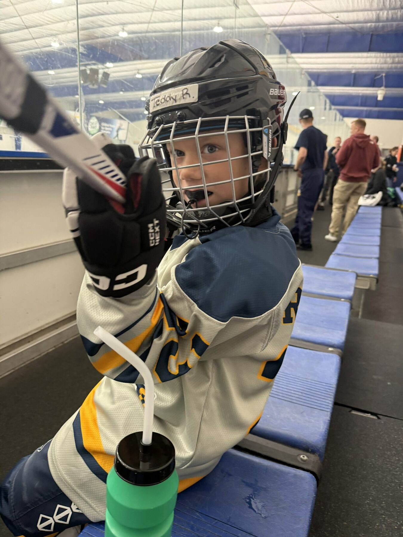 Teddy in full hockey gear on the bench with his stick raised