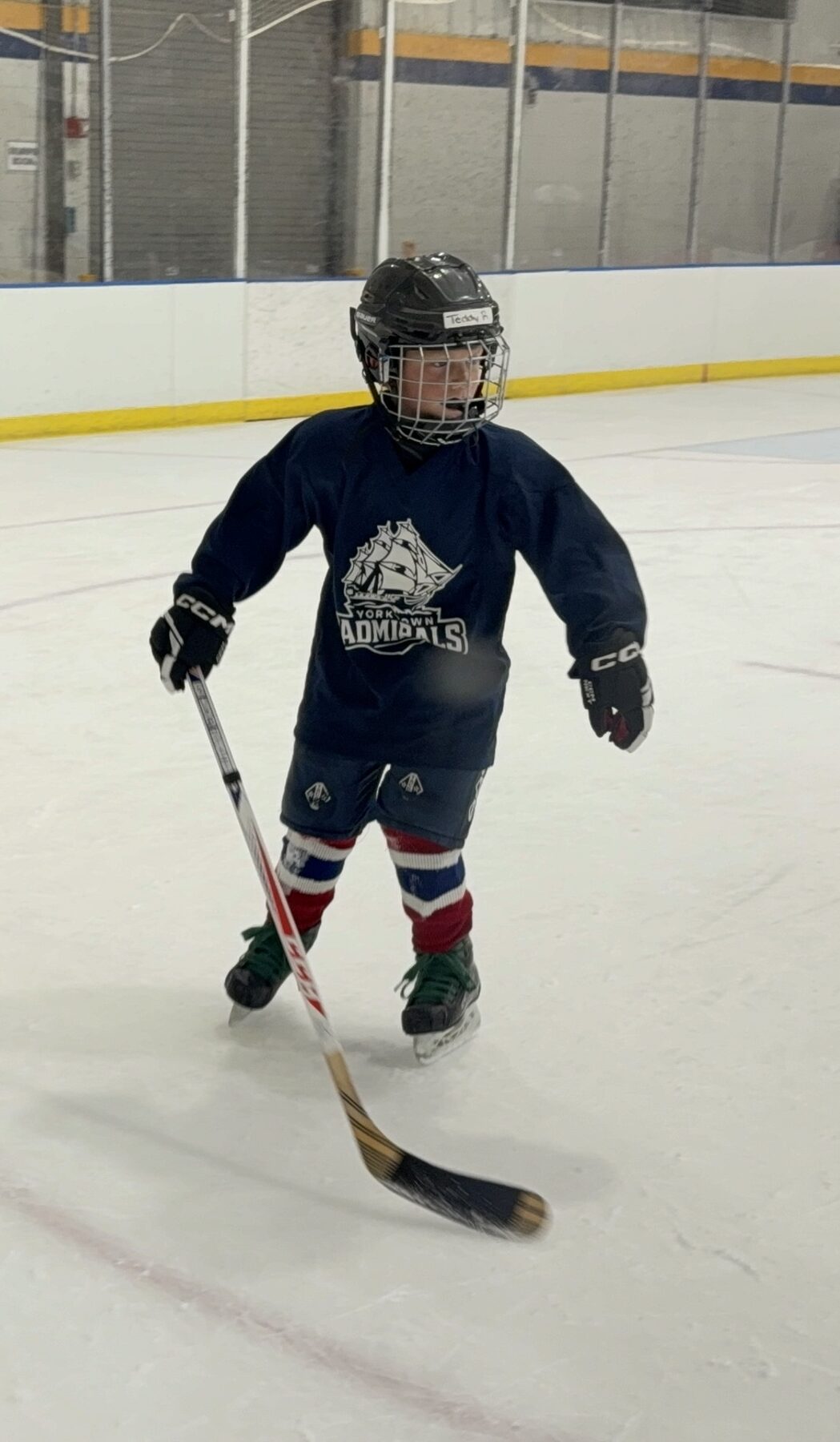 Teddy skating with his stick on the ice