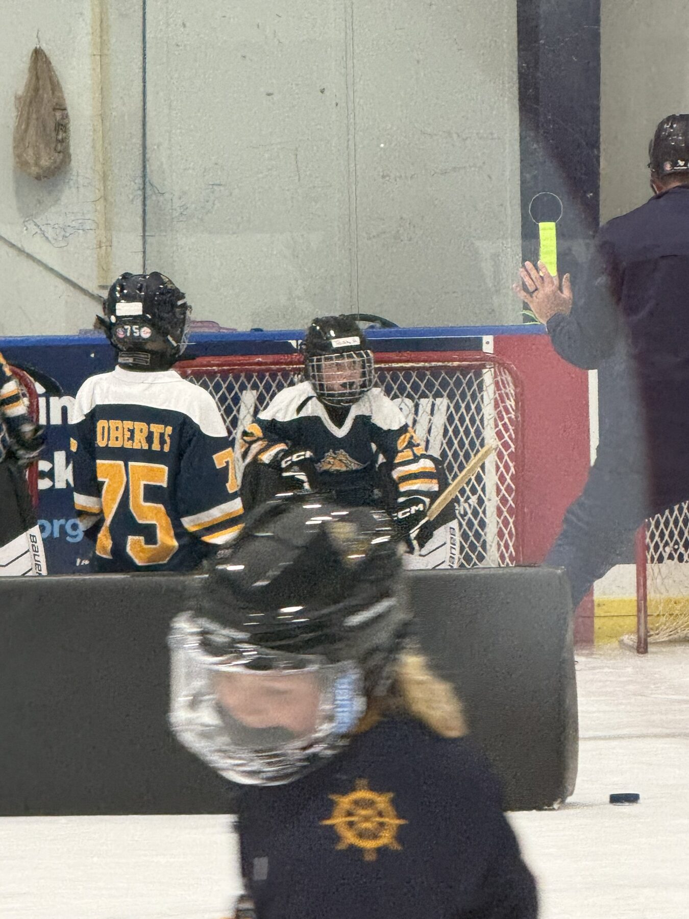 Hockey game at the net