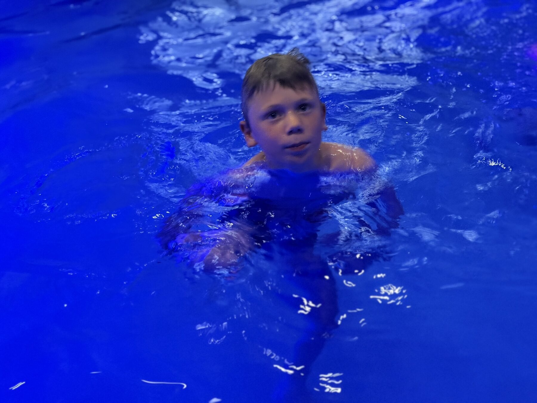 Teddy swimming underwater